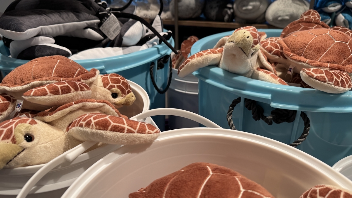 계산대 앞에서 손쉽게 둘러볼 수 있는 상품 코너