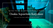Recorrido por el Acuario de Osaka Kaiyukan: tiburones ballena, tanques gigantes y un descenso en espiral de 8 pisos hacia el Pacífico