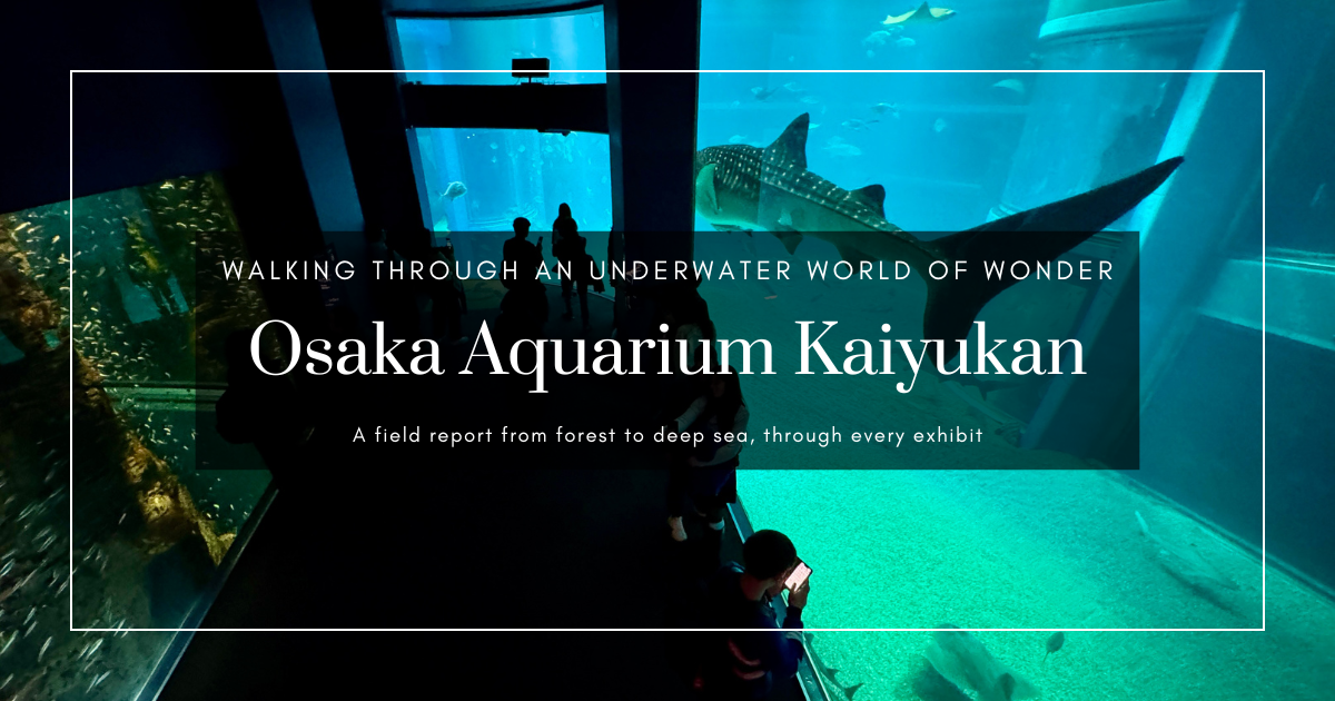 오사카 수족관 카이유칸 현장 리포트: 고래상어, 거대 수조, 8층 나선형 태평양 탐험