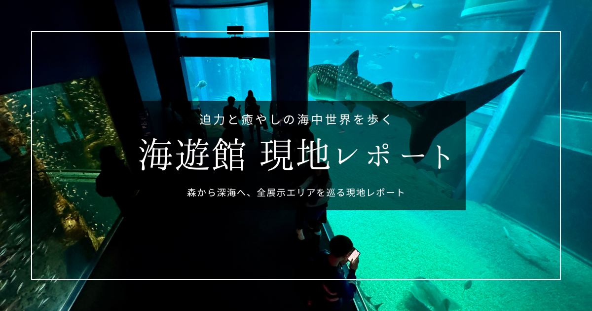 大阪の人気水族館「海遊館」を現地レポート｜巨大水槽、ジンベエザメ、海月銀河にイワシ流星群！見どころ満載、海中の楽園を徹底紹介