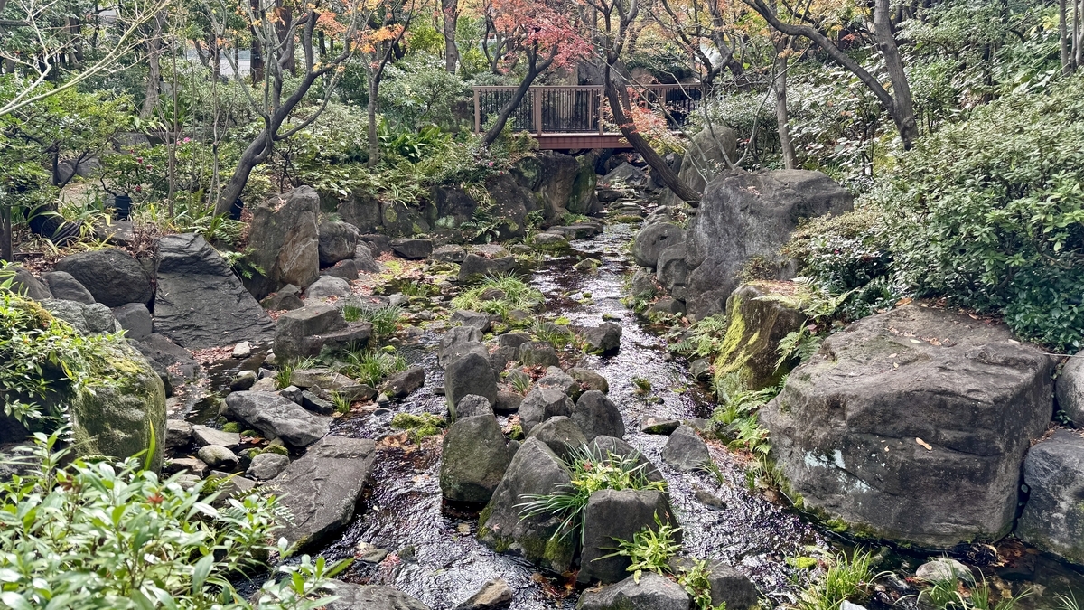 中自然之森中被樹木和岩石環繞的溪流