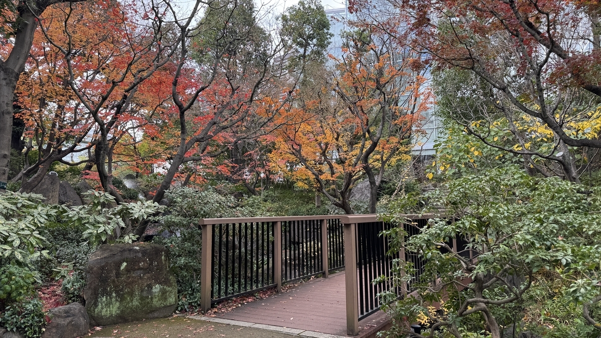 中自然之森中被秋葉環繞的木橋