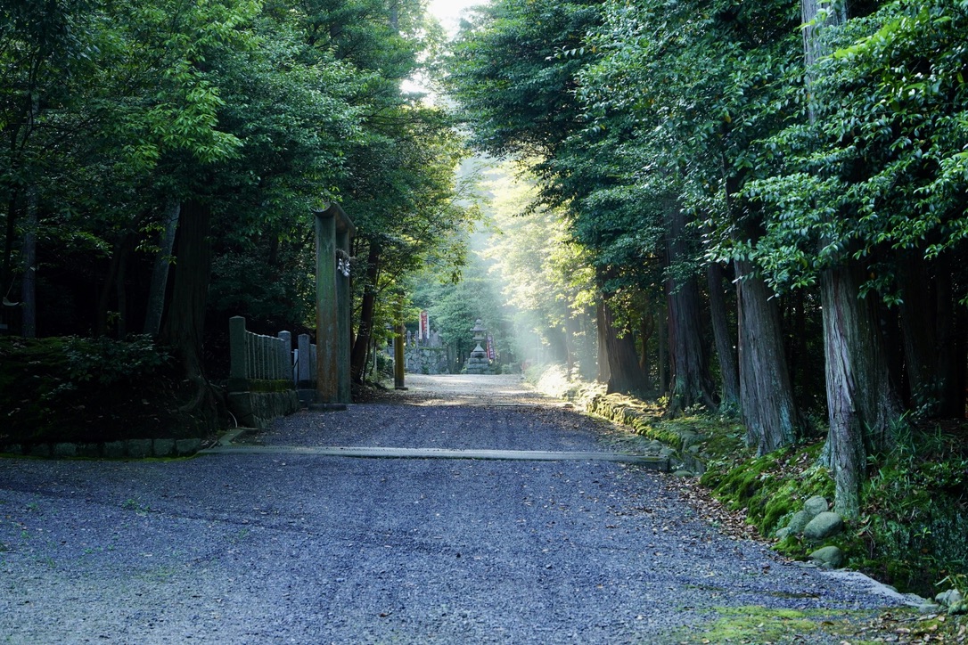 숲길 사이로 참배길에 쏟아지는 햇살