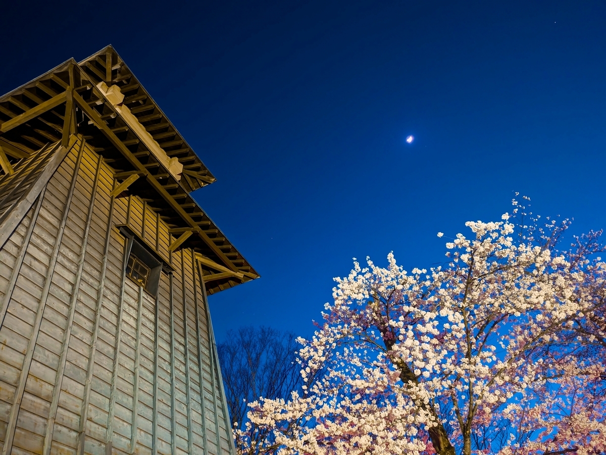 푸른 저녁 하늘을 배경으로 한 목조 건물과 만개한 벚꽃