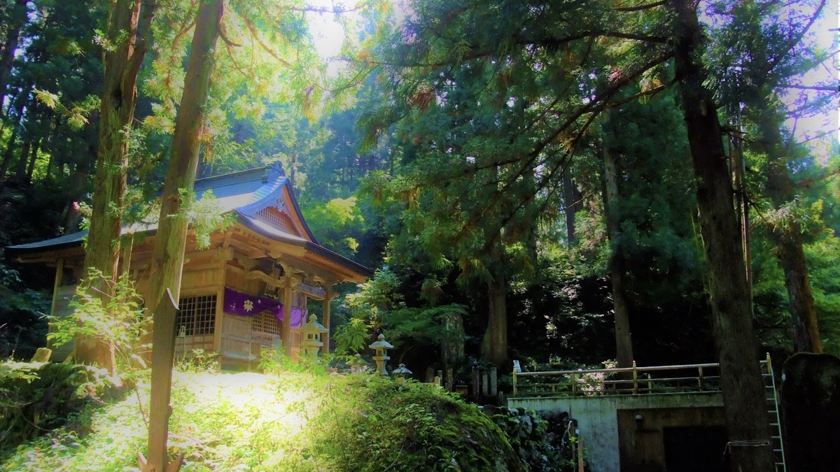 树木环绕中的神社鸟居