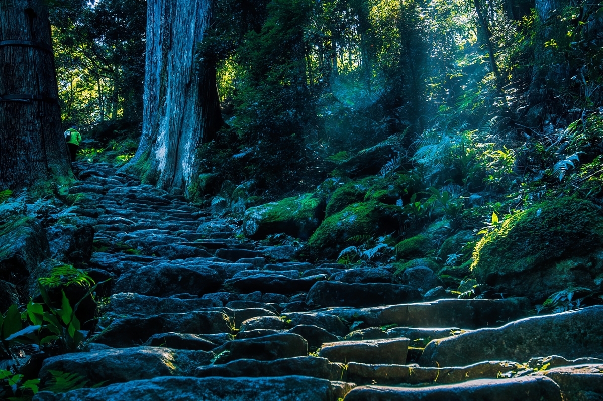 穿越深林的石板山路
