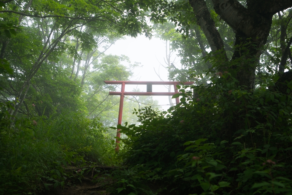 薄雾山路中浮现的朱红色鸟居