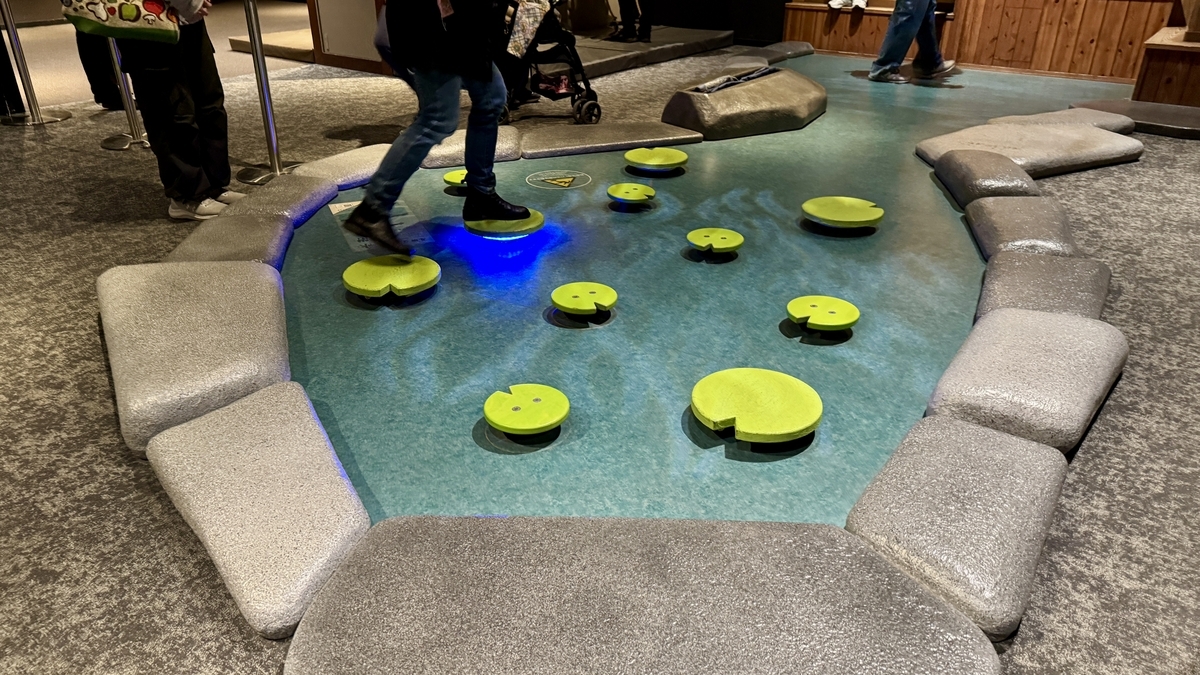 踏过莲叶形踏板的水术修行