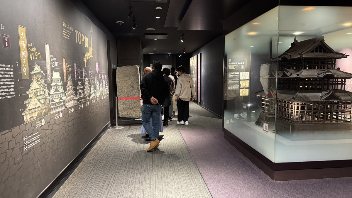 天守の高さ比較パネルと復元模型が並ぶ1階展示室