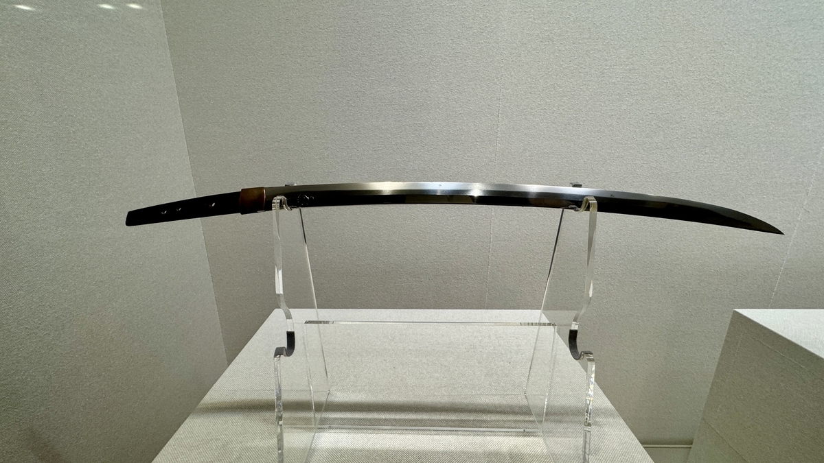 刃先まで伸びる曲線が印象的な日本刀の展示