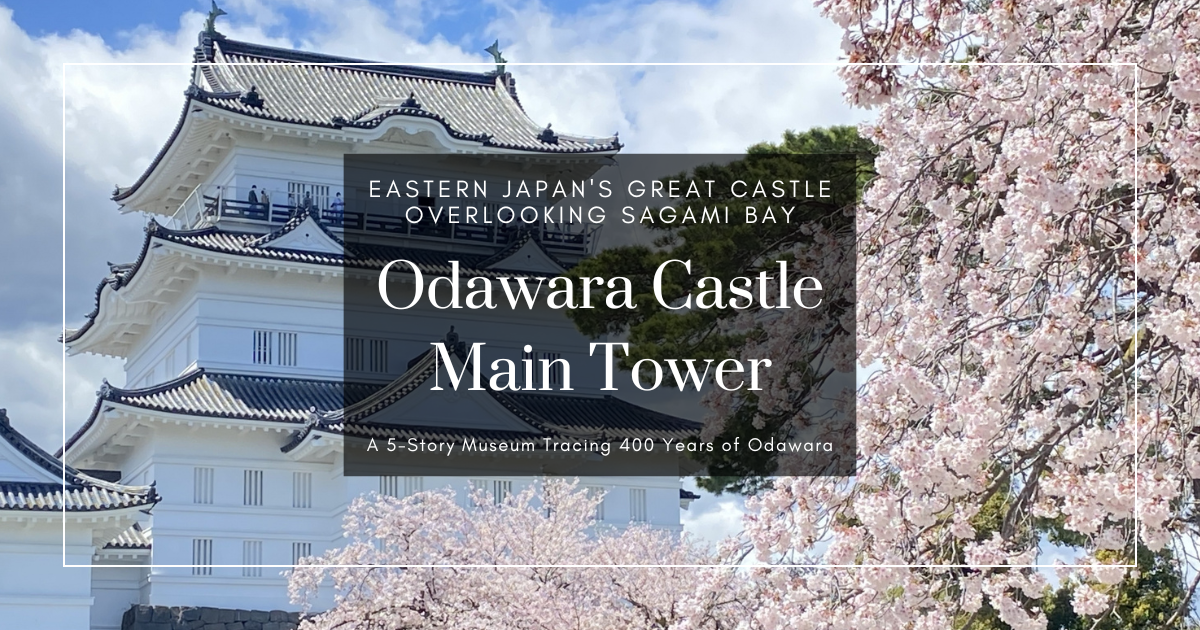 오다와라성 천수각 완벽 가이드｜5층 박물관과 표고 60m 전망 데크의 사가미만 대파노라마