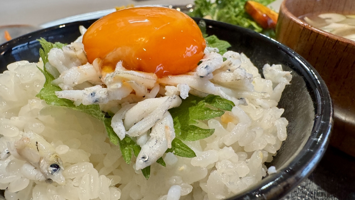 Close-up of glossy shirasu and egg yolk over white rice