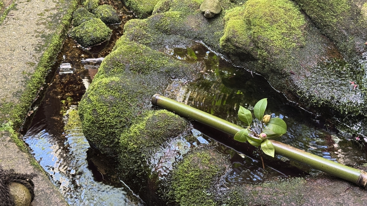 苔むした石の間を流れる野村家庭園の水路