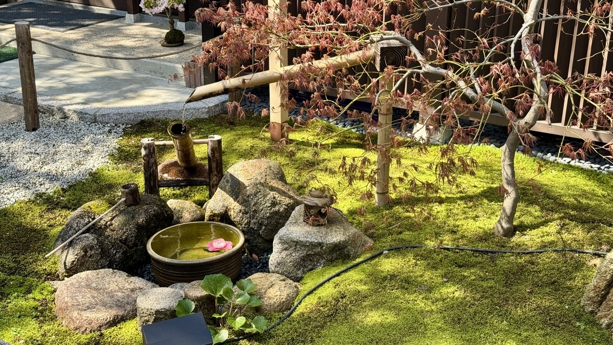 千田家庭園の主屋前に広がる苔庭とつくばいとモミジ