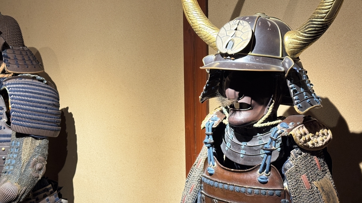 A close-up of a helmet with golden horn crests and a face guard