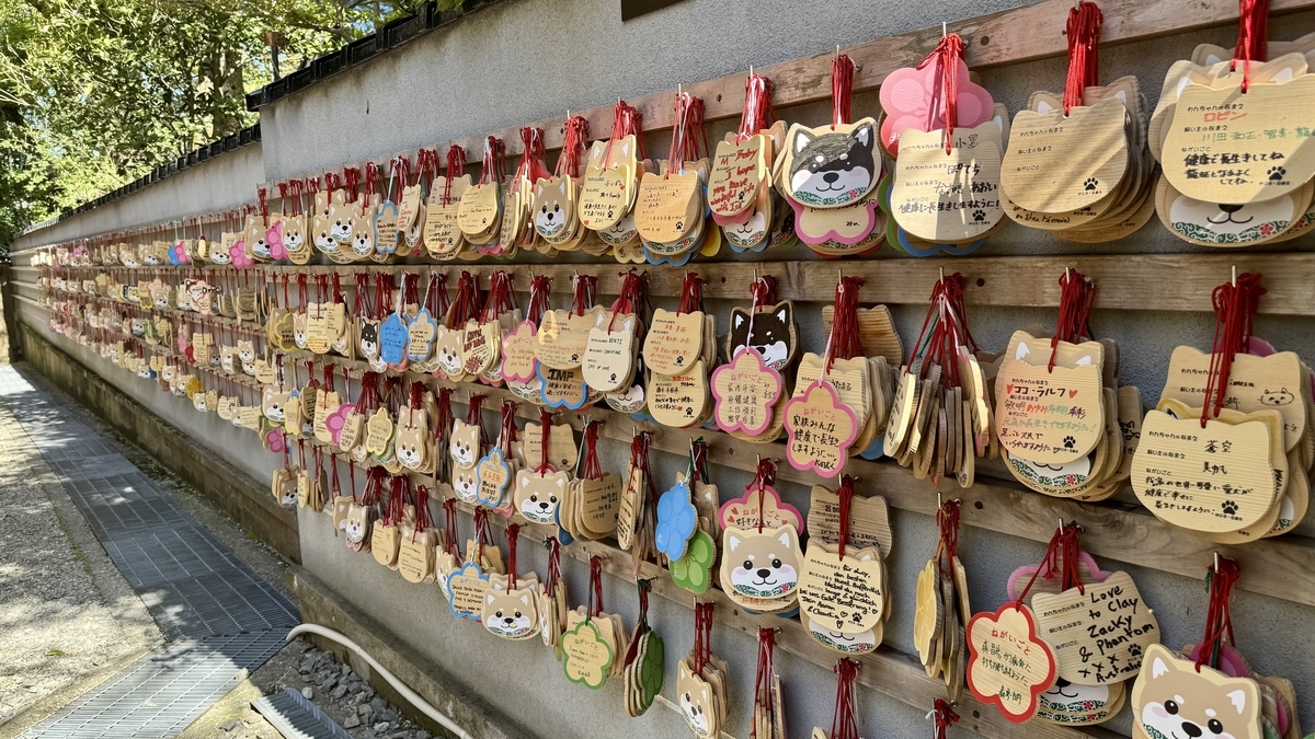 妙立寺の壁一面に奉納された犬の絵馬