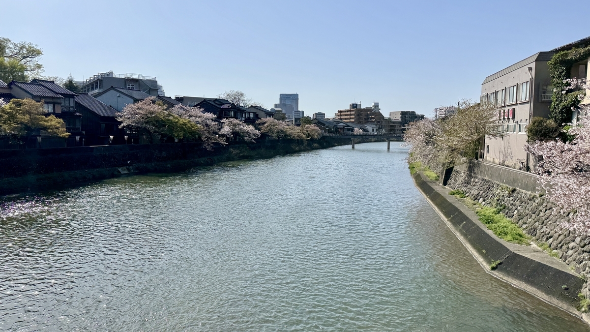 Kazuemachi Chaya District along the Asano River with cherry blossoms in bloom