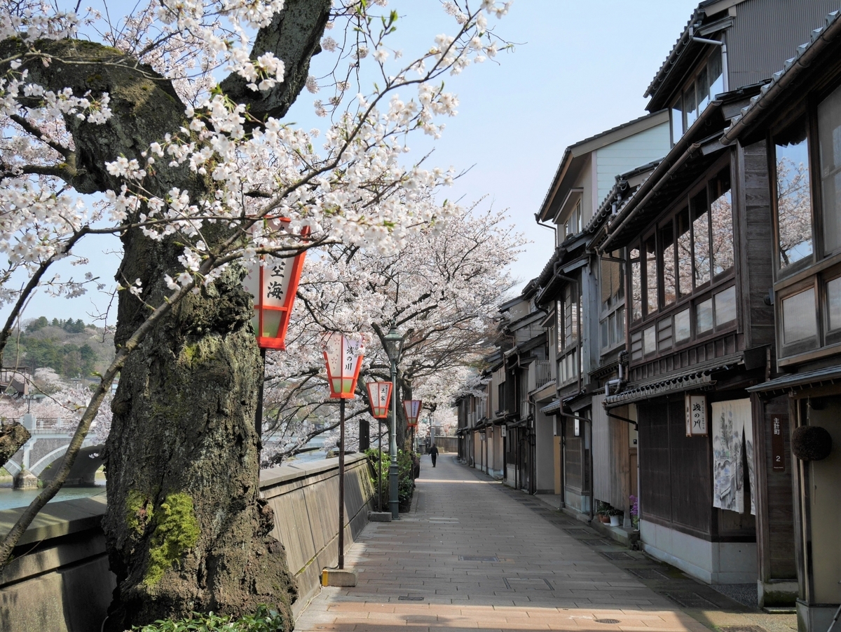 A street in Kazuemachi Chaya District lined with cherry trees and paper lanterns