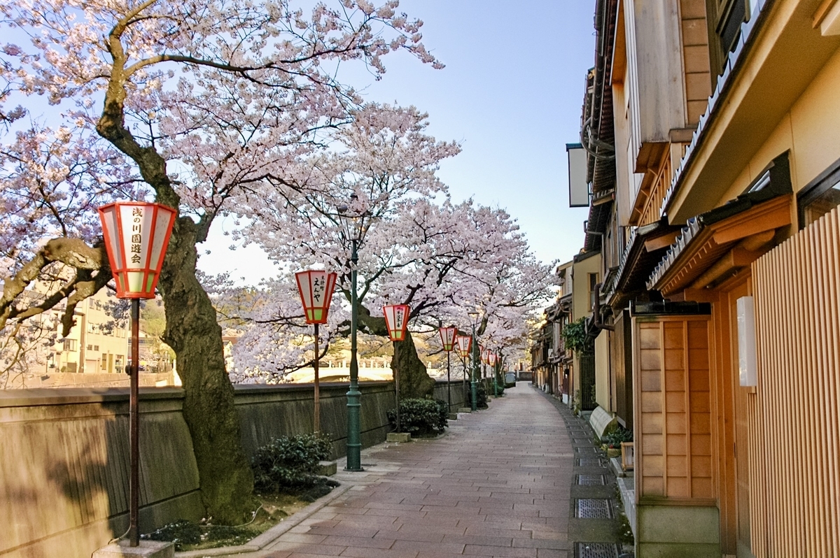 Kazuemachi Chaya District where cherry blossoms and bengara lattice houses line the Asano River