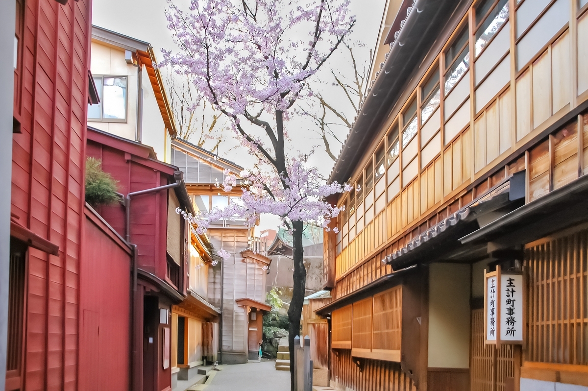 A machiya alley in the chaya district with the Kazuemachi office sign and cherry blossoms
