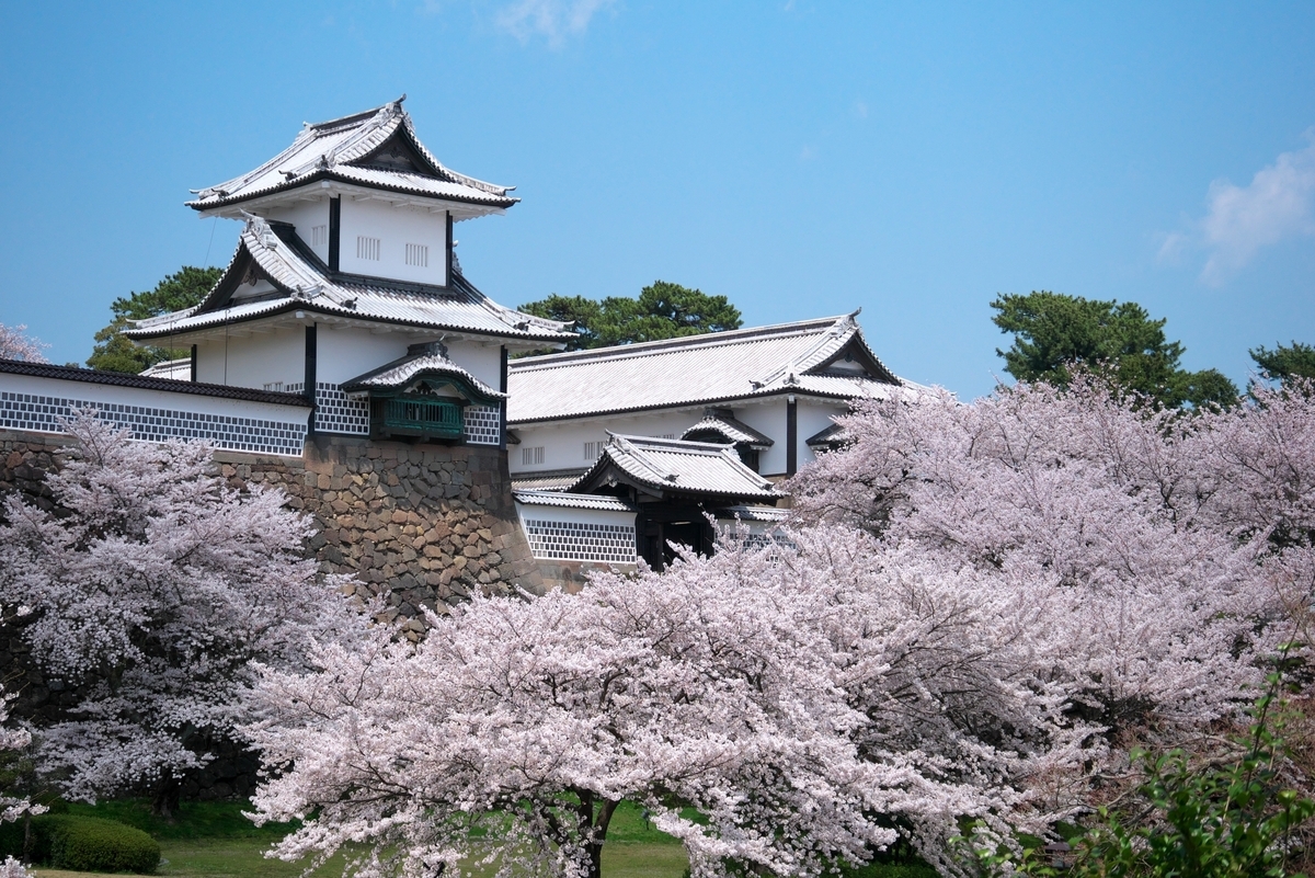 桜越しに見える金沢城の櫓と石垣