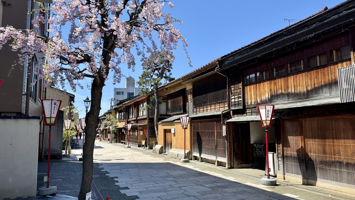 桜の木と木造茶屋建築が並ぶにし茶屋街